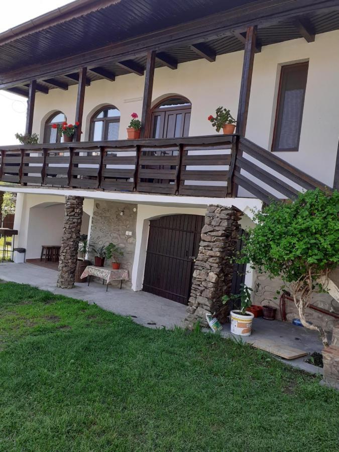 Casa De Vacanta Mirela Novaci-Străini Eksteriør bilde