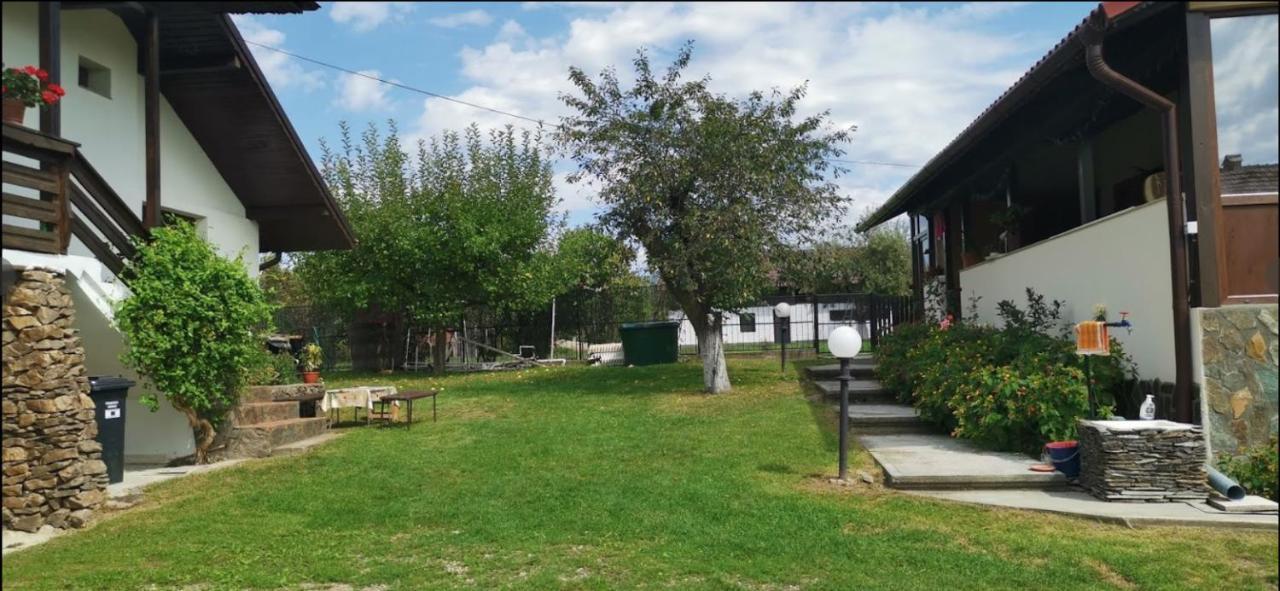Casa De Vacanta Mirela Novaci-Străini Eksteriør bilde