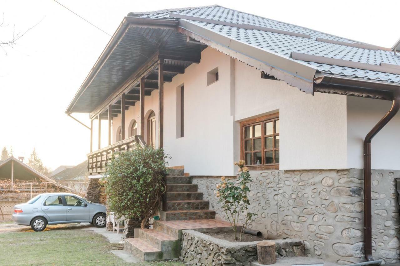 Casa De Vacanta Mirela Novaci-Străini Eksteriør bilde