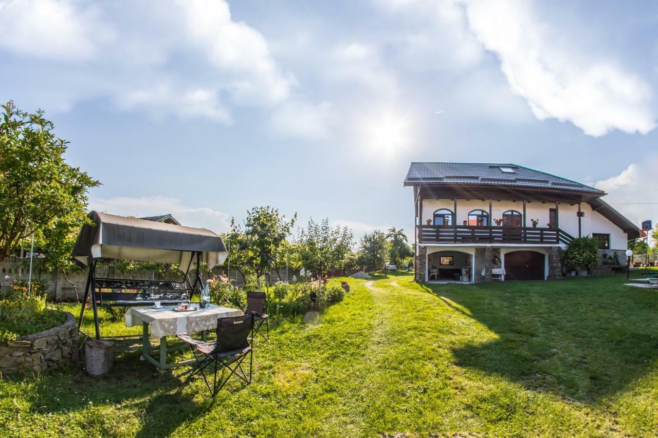 Casa De Vacanta Mirela Novaci-Străini Eksteriør bilde